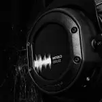 2020 Dewi Pihitai Punjabi Mix