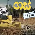 Gas Kaparina (Ayy Macarena Sinhala Version)