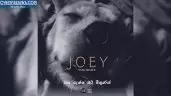 Joey