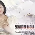 Nadanna Mage Sihine