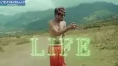 Life