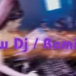 Remix