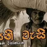 Asani Wasi