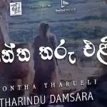 Kontha Tharu Eli