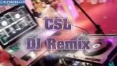 djz remixes