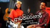 Adambarakari Theme Song Cover
