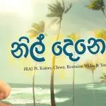 Nil Denethi