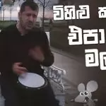 Wihilu Karanna Epa Malli (Levan Polkka Sinhala)