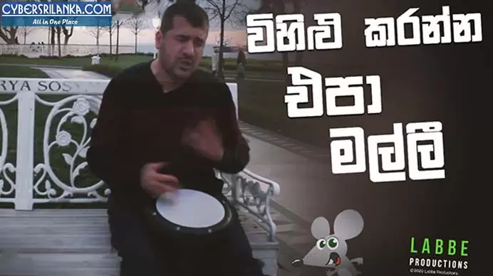 Wihilu Karanna Epa Malli (Levan Polkka Sinhala)