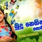 Budu Nethin Pidu (Sobadam)