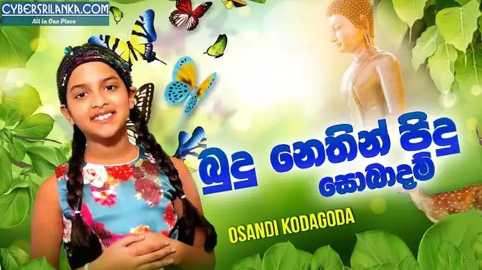 Budu Nethin Pidu (Sobadam)
