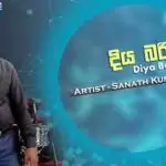 Diya Bariya