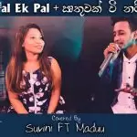 Pal Ek Pal ft Irthuwak Wee Nam Man Covered