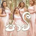 Pawee Kochchi
