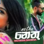 Nethu