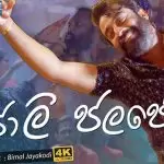 Jolly Jalaje (Rella Weralata Adarei Tele Drama Song)
