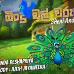 Bindu Bindu Mal Warusa