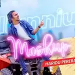 Millennium Hits Mashup