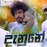 Danune (Diyani Teledrama Song) - Raween Kanishka