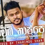 Kambi Thappeta Cover