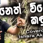 Neth Wile Kadulu (Cover)